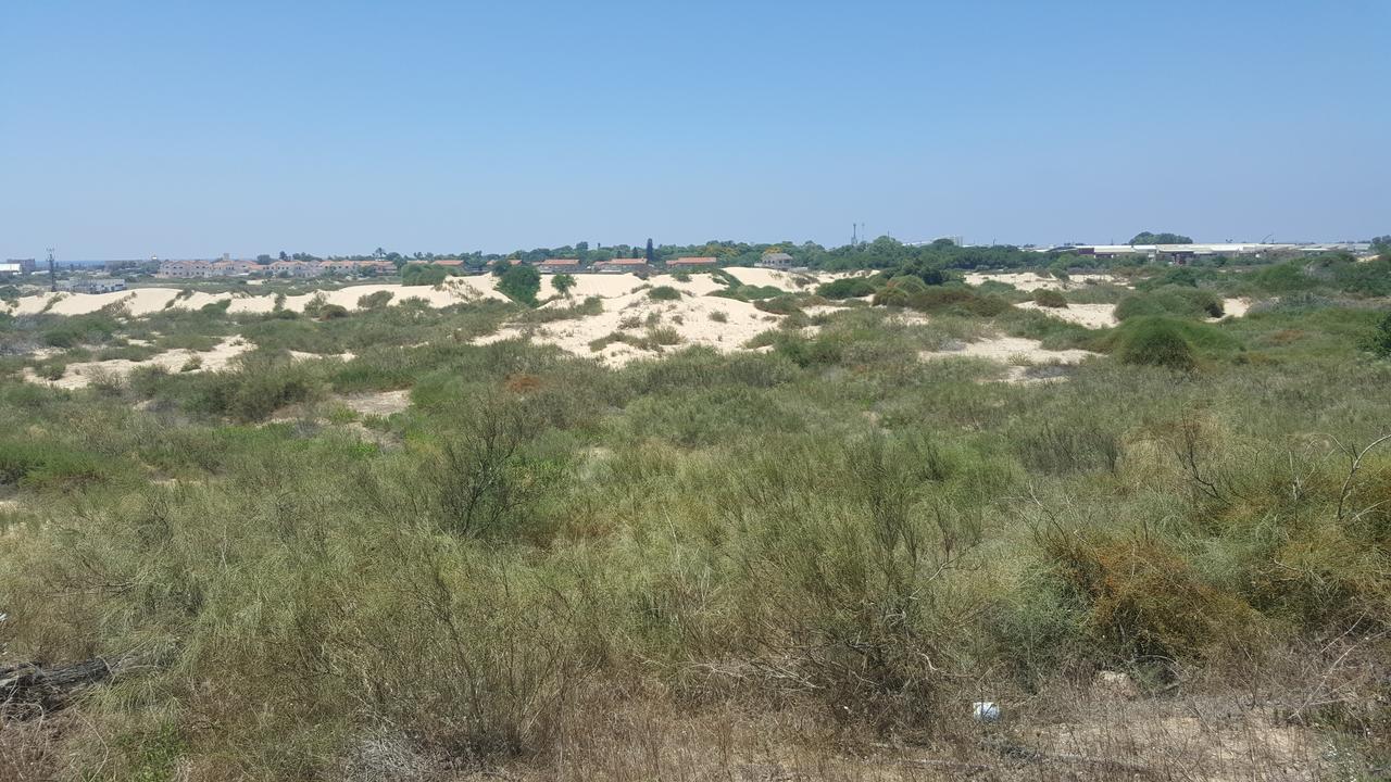 Neot Golf Caesarea Garden Apartment المظهر الخارجي الصورة